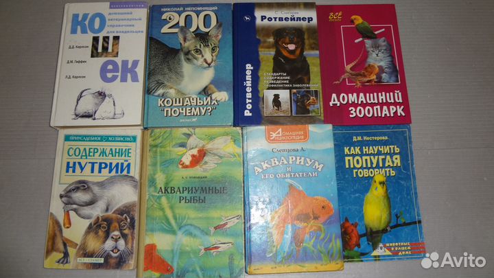 Кошки, собаки, попугаи