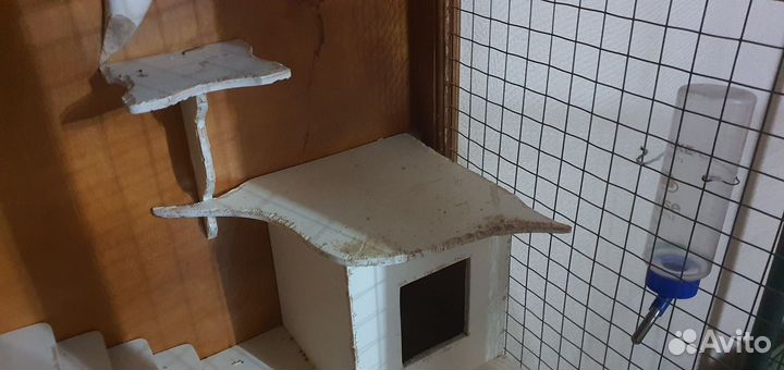 Клетка для грызунов очень большая