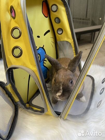 Рюкзак переноска сумка переноска