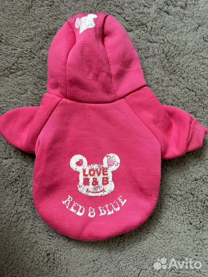 Одежда для маленьких собак