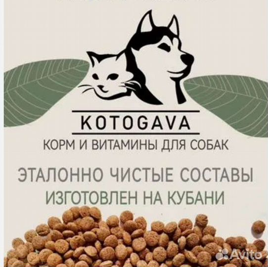 Корм Котогава (Kotogava)