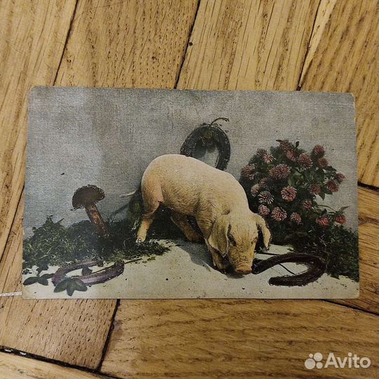 Старинные дореволюционные открытки