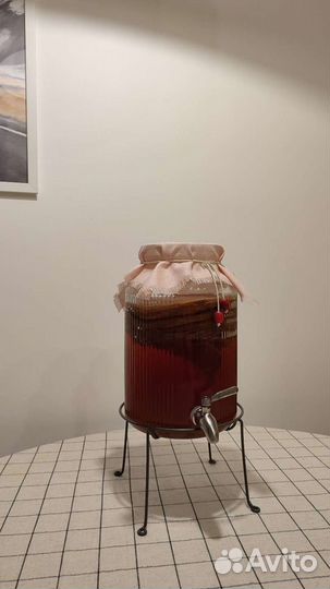 Чайный гриб (Комбуча)