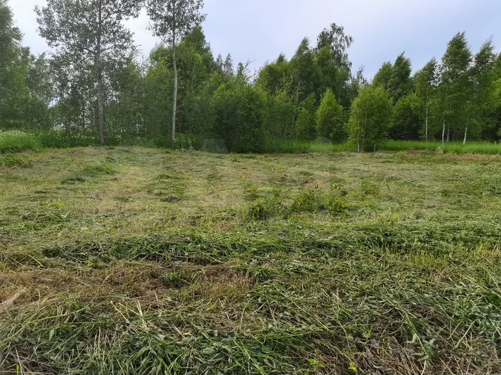 Дом 114 м² на участке 14,1 сот.