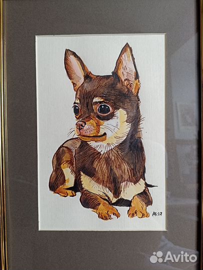 Портрет чихуахуа