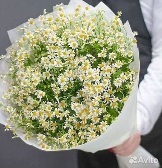 Букеты. Доставка ромашек