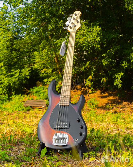 Sterling RAY5-vsbs-M1 StingRay5 Бас гитара, 5 стр