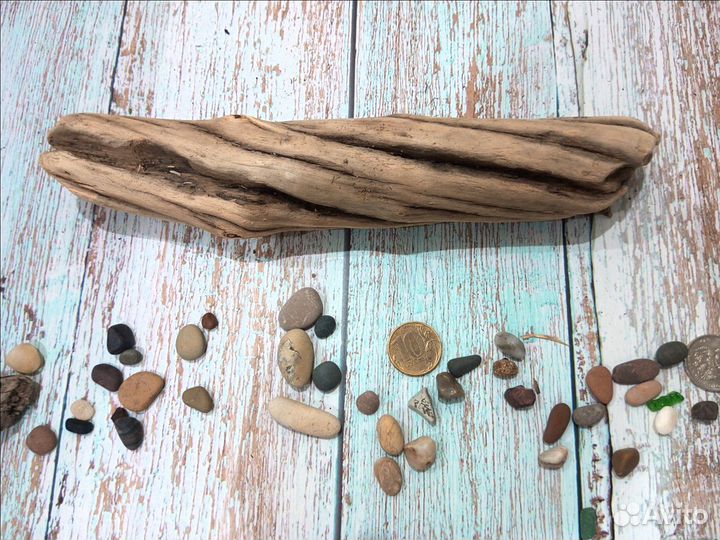 Коряги оптом. Дрифтвуд