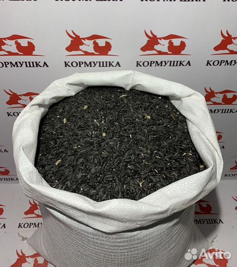 Подсолнечник