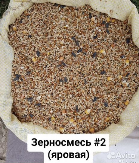 Зерносмеси, пшеница, кукуруза, просо, ячмень