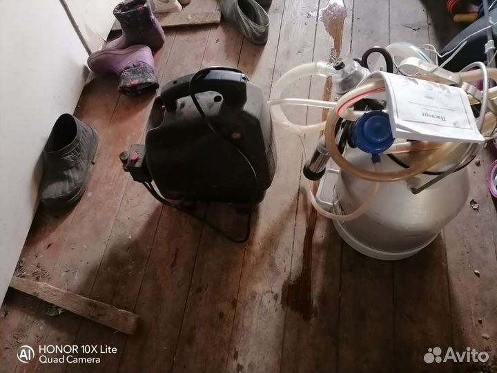 Доильный аппарат для коров