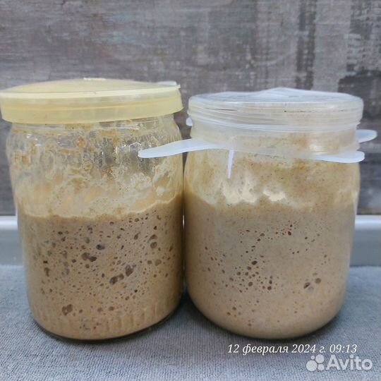 Закваска для хлеба