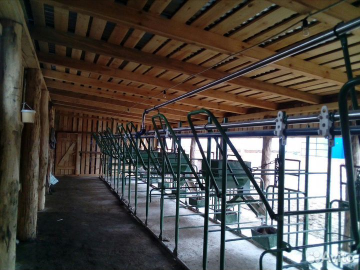 Летние лагеря для доения крс