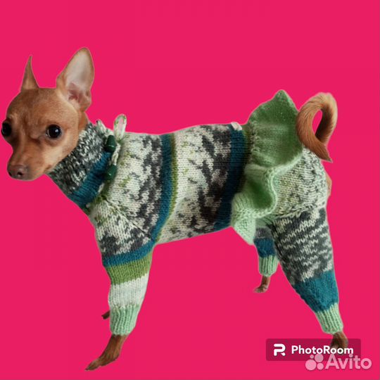 Одежда вязаная для животных