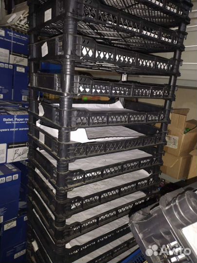 Ящики для рассады