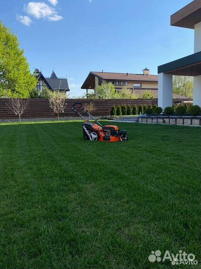 Рулонный газон премиум с полей