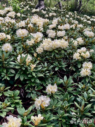 Поход на гору Большой Тхач