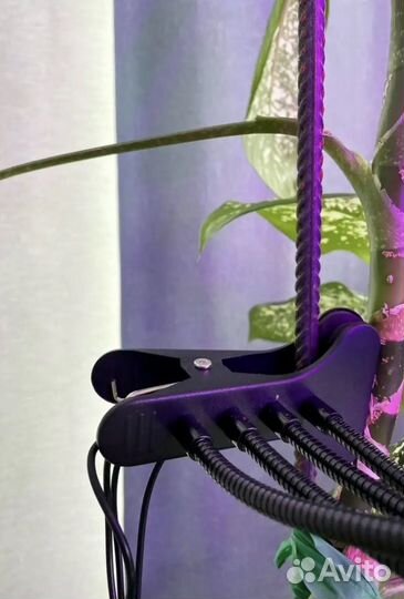 Фитолампа для растений