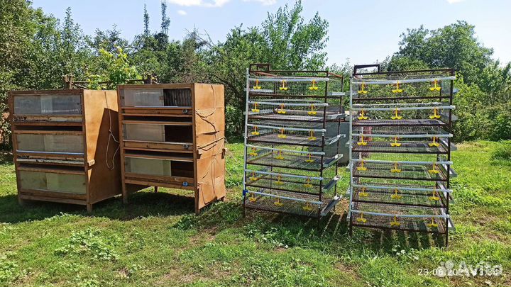 Клетка для перепелок