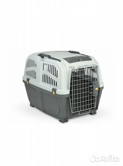 Переноска на прокат аренда