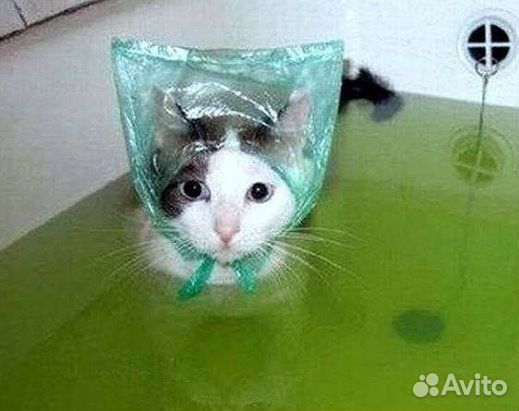 Репетитор по химии И биологии огэ