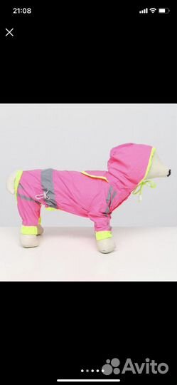 Кофты для сфинксов