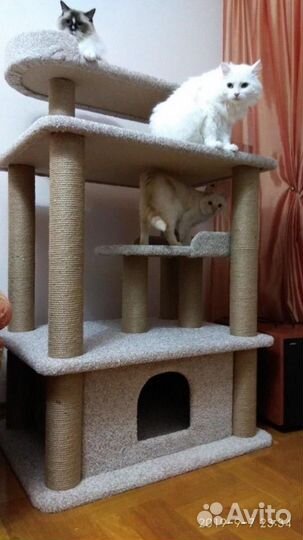 Изготовление домиков для кошек и когтеточек