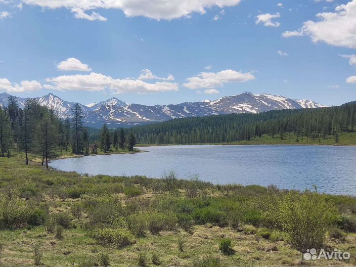 Экскурсии по Алтаю