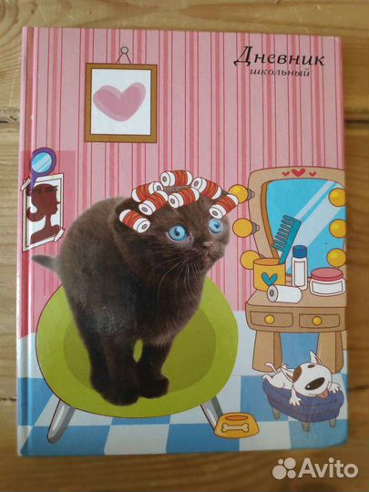 Школьный дневник. Новый