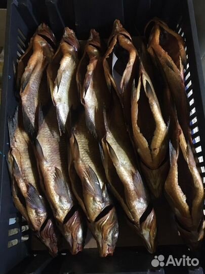 Рыба холодного копчения
