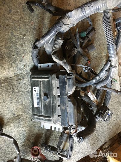 Мозги на Ниссан note 1.4