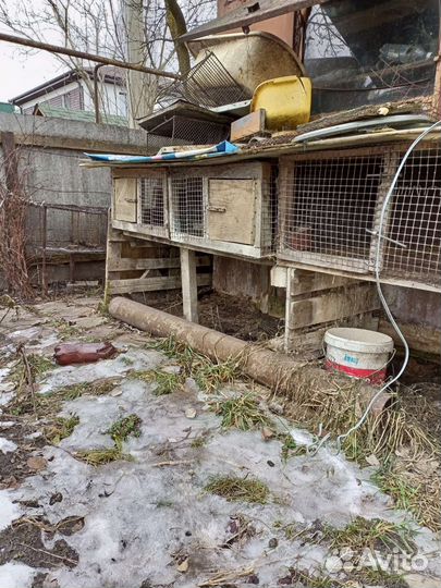 Клетки для кролика