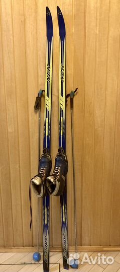 Беговые лыжи