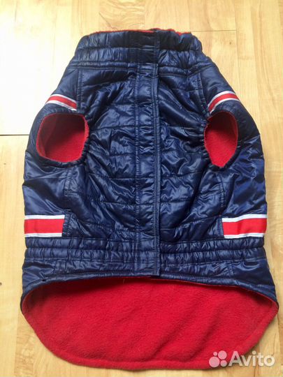 Одежда для собак (английский бульдог)