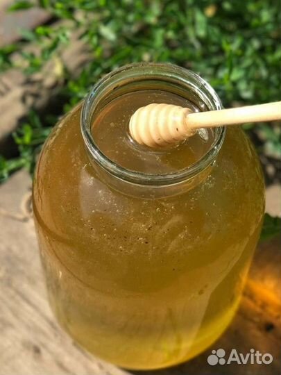 Липовый мед/доставка на дом