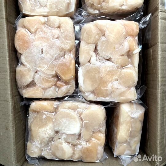 Оптом Гребешок Приморский