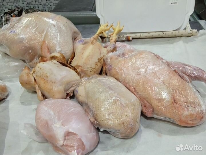 Мясо домашней птицы