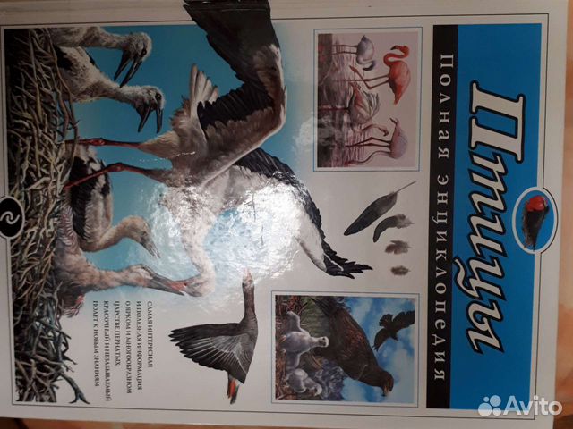 Энциклопедии для детей