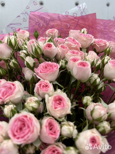 Букет из 15, 25, 31, 51, 101 розы