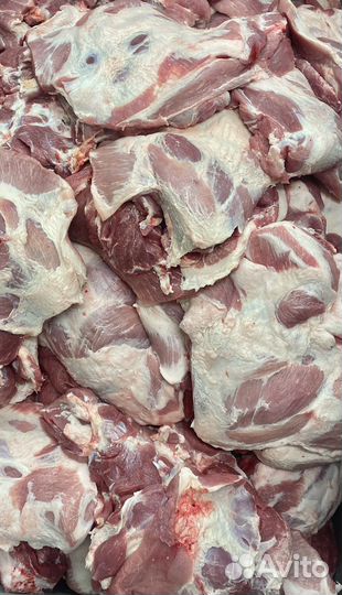 Мясо свинина