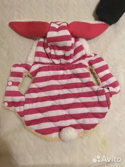 Костюмы для маленьких собак