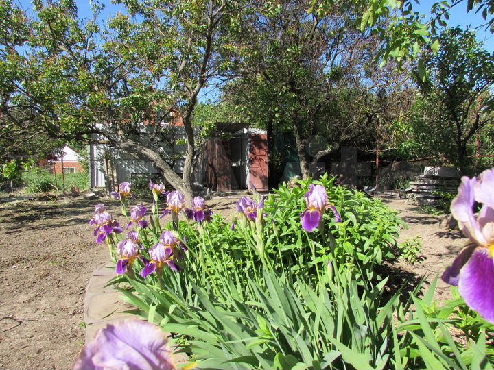 Дом 14 м² на участке 8 сот.