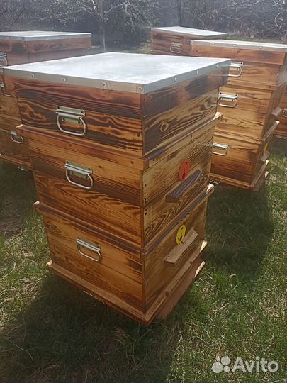 Ульи Дадан 12 рамочный