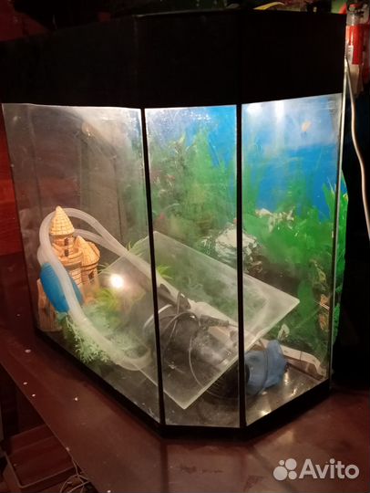 Аквариум