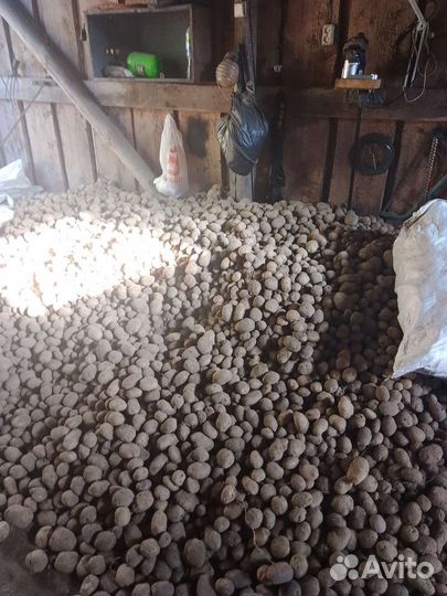 Продукты питания