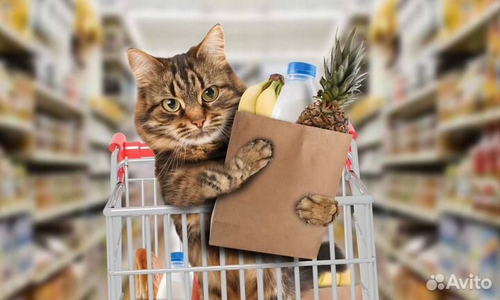 Расставлять товары Проверять ценники