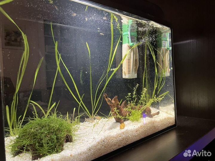 Аквариум