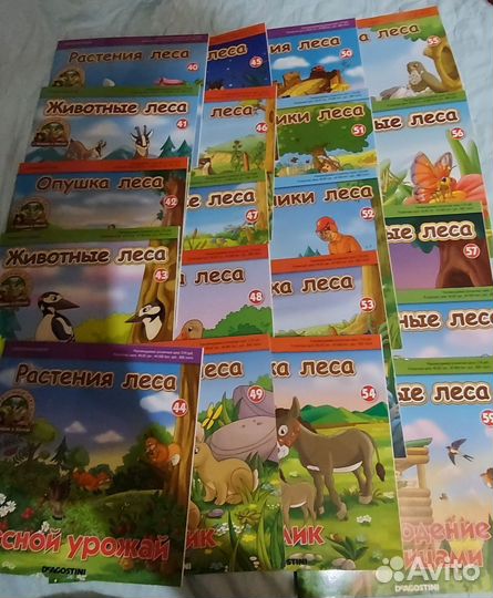 Книги. Животные леса