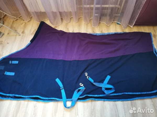 Амуниция для лошади (Вальтрап,попона, недоуздок, б