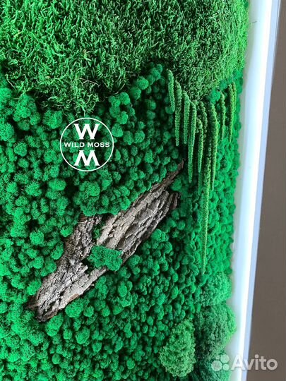 Стена из мха панно панелей от производителя мха